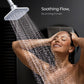 Classique Shower Head