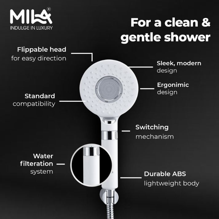 Blanc Hand Shower
