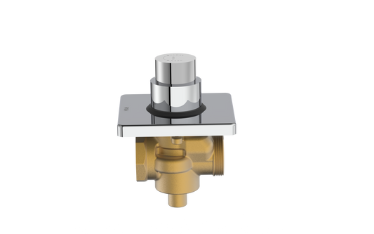 Turbo Single Flush Valve - Concealed Push Type (32mm) with Square Flange